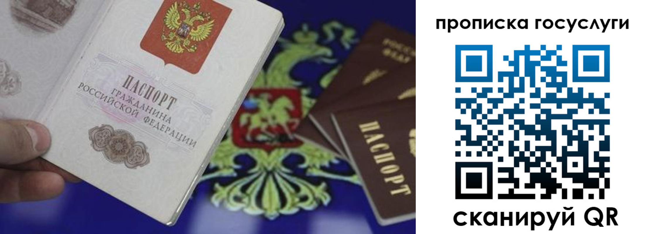 прописка для школы в Осинниках